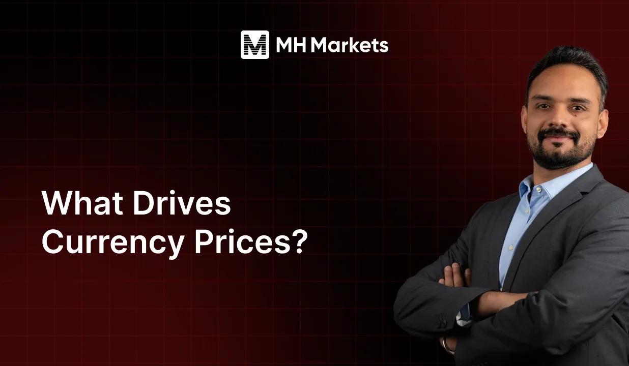 What Drives Currency Prices?